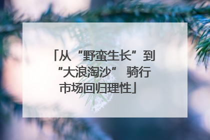 从“野蛮生长”到“大浪淘沙” 骑行市场回归理性