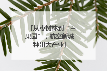 从枣树林到“百果园”，航空新城种出大产业