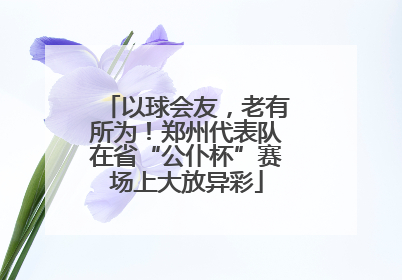 以球会友，老有所为！郑州代表队在省“公仆杯”赛场上大放异彩