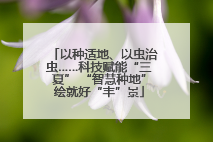 以种适地、以虫治虫……科技赋能“三夏” “智慧种地”绘就好“丰”景