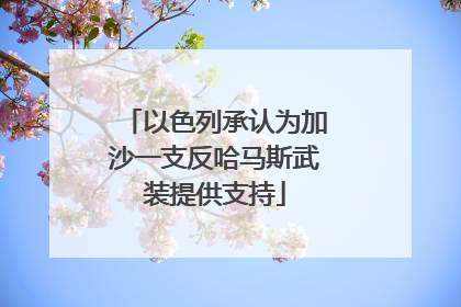 以色列承认为加沙一支反哈马斯武装提供支持