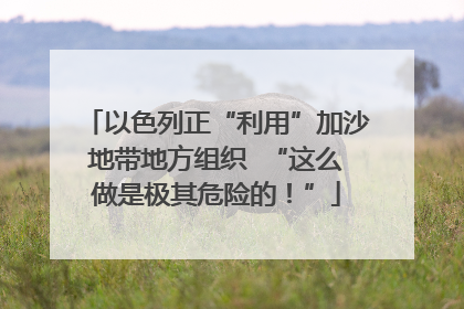 以色列正“利用”加沙地带地方组织  “这么做是极其危险的！”