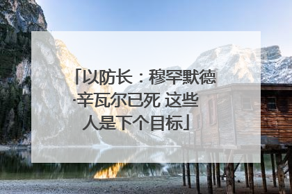 以防长：穆罕默德·辛瓦尔已死 这些人是下个目标