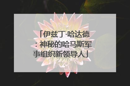 伊兹丁·哈达德：神秘的哈马斯军事组织新领导人