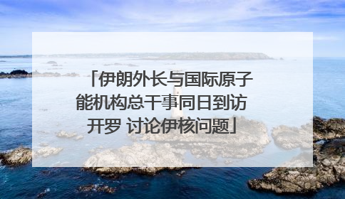 伊朗外长与国际原子能机构总干事同日到访开罗 讨论伊核问题