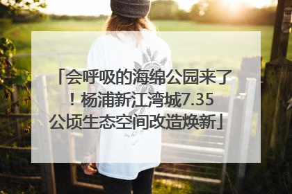 会呼吸的海绵公园来了！杨浦新江湾城7.35公顷生态空间改造焕新