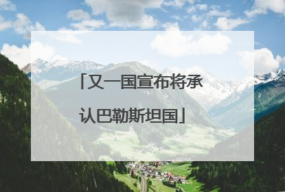 又一国宣布将承认巴勒斯坦国