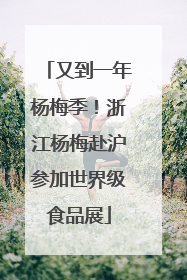 又到一年杨梅季！浙江杨梅赴沪参加世界级食品展