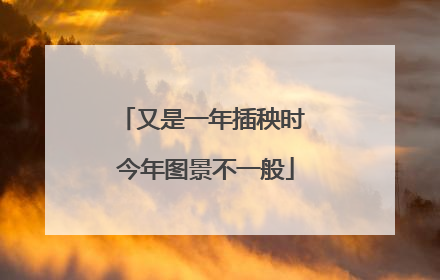 又是一年插秧时 今年图景不一般
