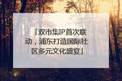 双市集IP首次联动，浦东打造国际社区多元文化盛宴