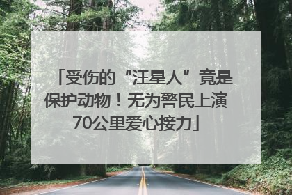 受伤的“汪星人”竟是保护动物！无为警民上演70公里爱心接力