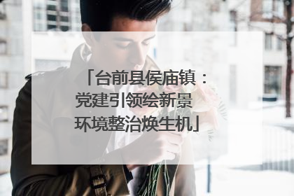 台前县侯庙镇：党建引领绘新景 环境整治焕生机