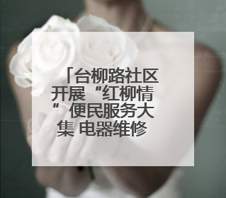 台柳路社区开展“红柳情”便民服务大集 电器维修十分火爆