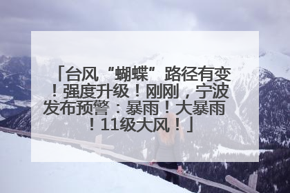 台风“蝴蝶”路径有变！强度升级！刚刚，宁波发布预警：暴雨！大暴雨！11级大风！