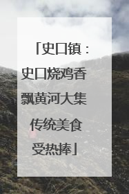史口镇：史口烧鸡香飘黄河大集 传统美食受热捧
