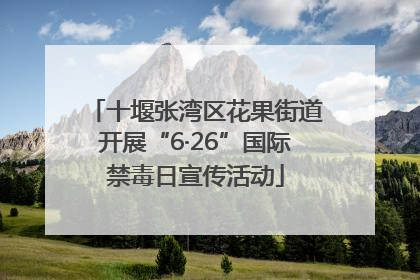 十堰张湾区花果街道开展“6·26”国际禁毒日宣传活动