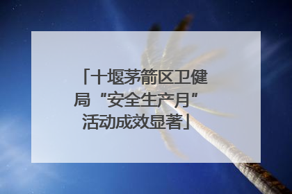 十堰茅箭区卫健局“安全生产月”活动成效显著