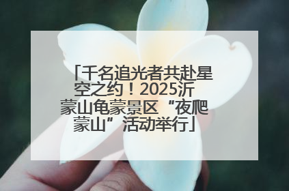千名追光者共赴星空之约！2025沂蒙山龟蒙景区“夜爬蒙山”活动举行