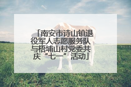 南安市诗山镇退役军人志愿服务队与梧埔山村党委共庆“七一”活动