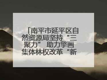 南平市延平区自然资源局坚持“三聚力” 助力擎画集体林权改革“新图景”
