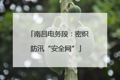 南昌电务段：密织防汛“安全网”