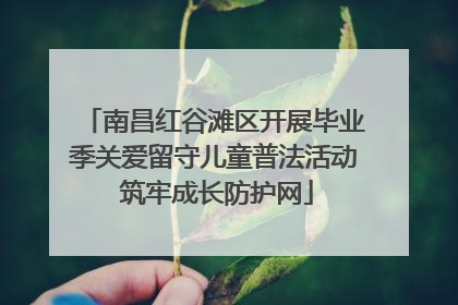 南昌红谷滩区开展毕业季关爱留守儿童普法活动 筑牢成长防护网