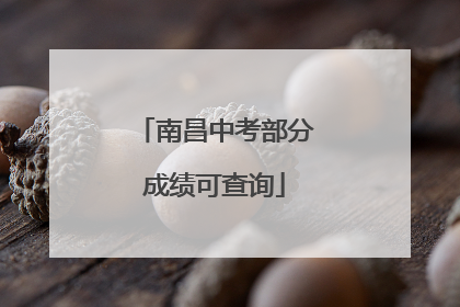 南昌中考部分成绩可查询
