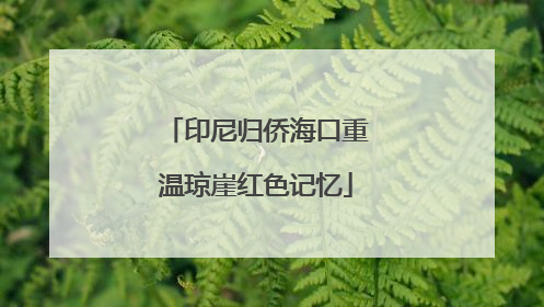 印尼归侨海口重温琼崖红色记忆