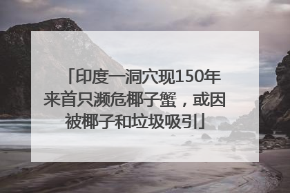 印度一洞穴现150年来首只濒危椰子蟹，或因被椰子和垃圾吸引
