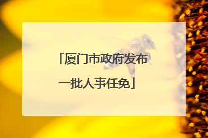 厦门市政府发布一批人事任免