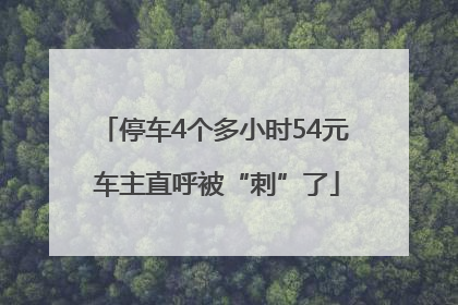 停车4个多小时54元 车主直呼被“刺”了