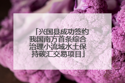 兴国县成功签约我国南方首条综合治理小流域水土保持碳汇交易项目