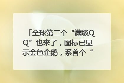 全球第二个“满级QQ”也来了，图标已显示金色企鹅，系首个“满级QQ”的小号