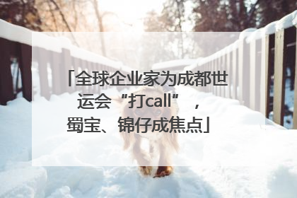 全球企业家为成都世运会“打call”，蜀宝、锦仔成焦点