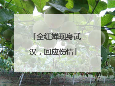 全红婵现身武汉，回应伤情
