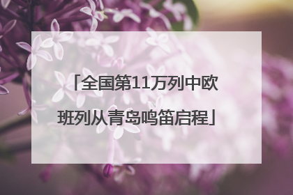 全国第11万列中欧班列从青岛鸣笛启程