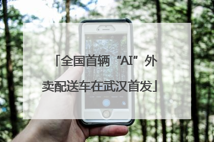 全国首辆“AI”外卖配送车在武汉首发