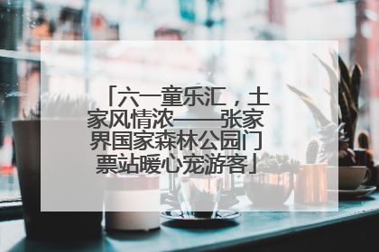 六一童乐汇，土家风情浓——张家界国家森林公园门票站暖心宠游客