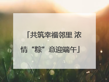 共筑幸福邻里 浓情“粽”意迎端午