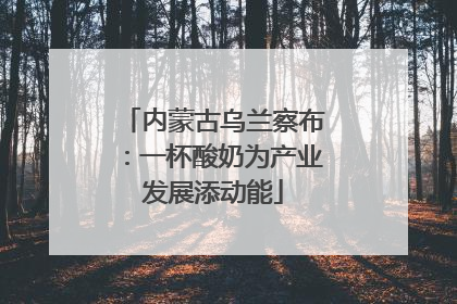 内蒙古乌兰察布：一杯酸奶为产业发展添动能