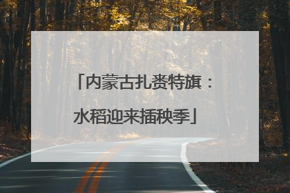 内蒙古扎赉特旗：水稻迎来插秧季