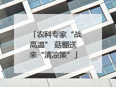 农科专家“战高温” 菇棚送来“清凉策”