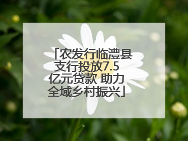 农发行临澧县支行投放7.5亿元贷款 助力全域乡村振兴