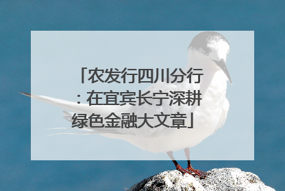 农发行四川分行：在宜宾长宁深耕绿色金融大文章