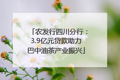 农发行四川分行：3.9亿元贷款助力巴中油茶产业振兴