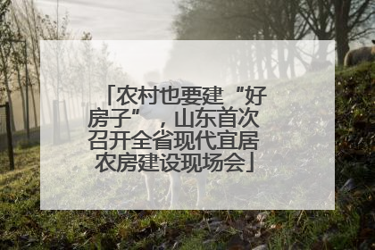 农村也要建“好房子”，山东首次召开全省现代宜居农房建设现场会