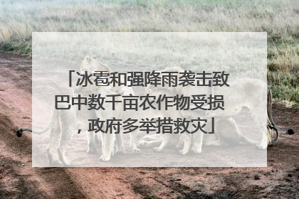 冰雹和强降雨袭击致巴中数千亩农作物受损，政府多举措救灾