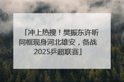 冲上热搜！樊振东许昕同框现身河北雄安，备战2025乒超联赛