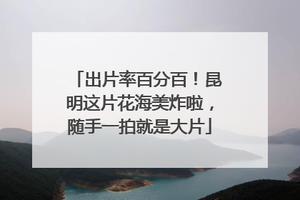 出片率百分百！昆明这片花海美炸啦，随手一拍就是大片