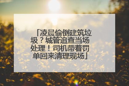 凌晨偷倒建筑垃圾？城管追查当场处理！司机带着罚单回来清理现场